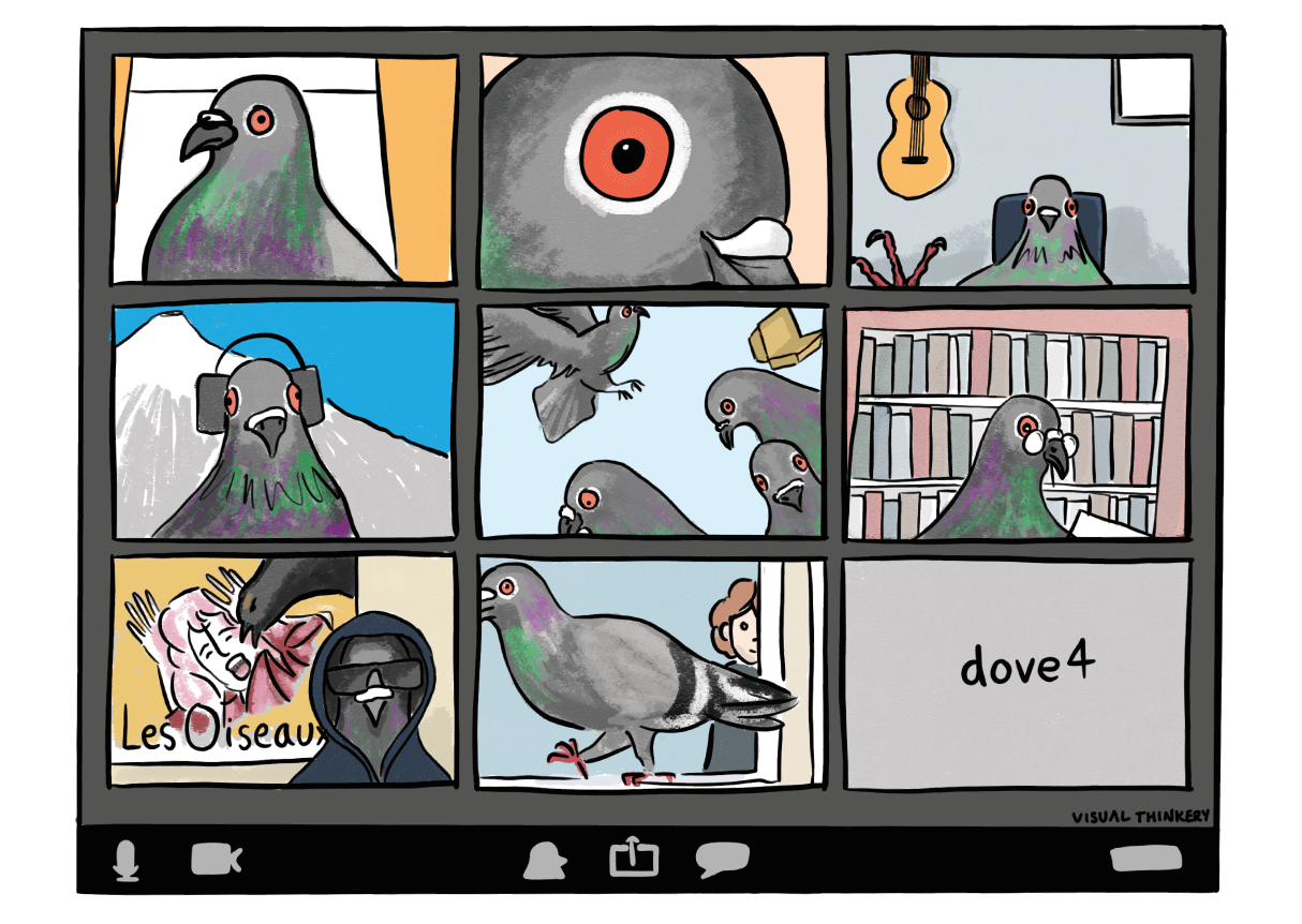 Zooming Pigeons (Hack Education)