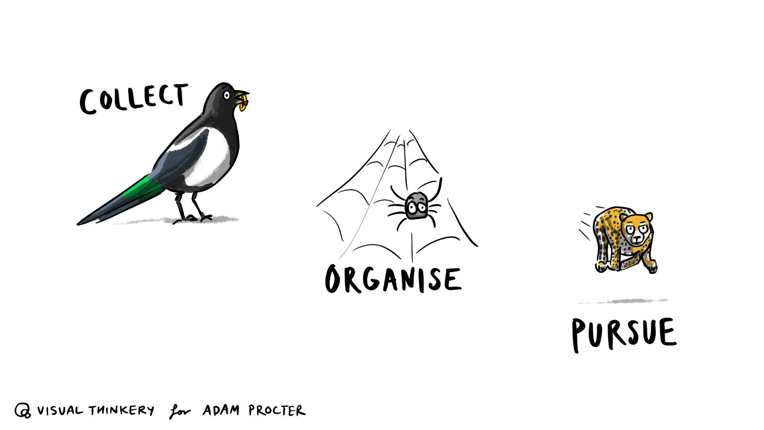 Adam Proctor - Collect, Organise, Persue