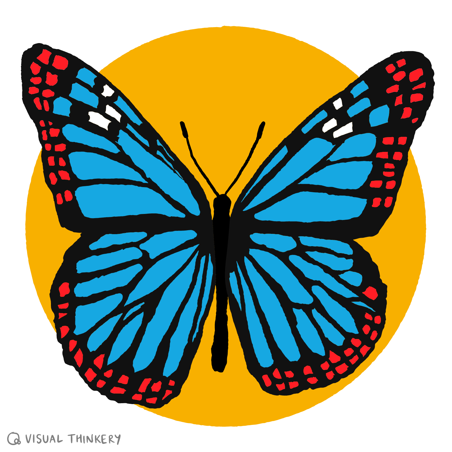 Morpho - The Remixer Machine Morpho - The Remixer Machine