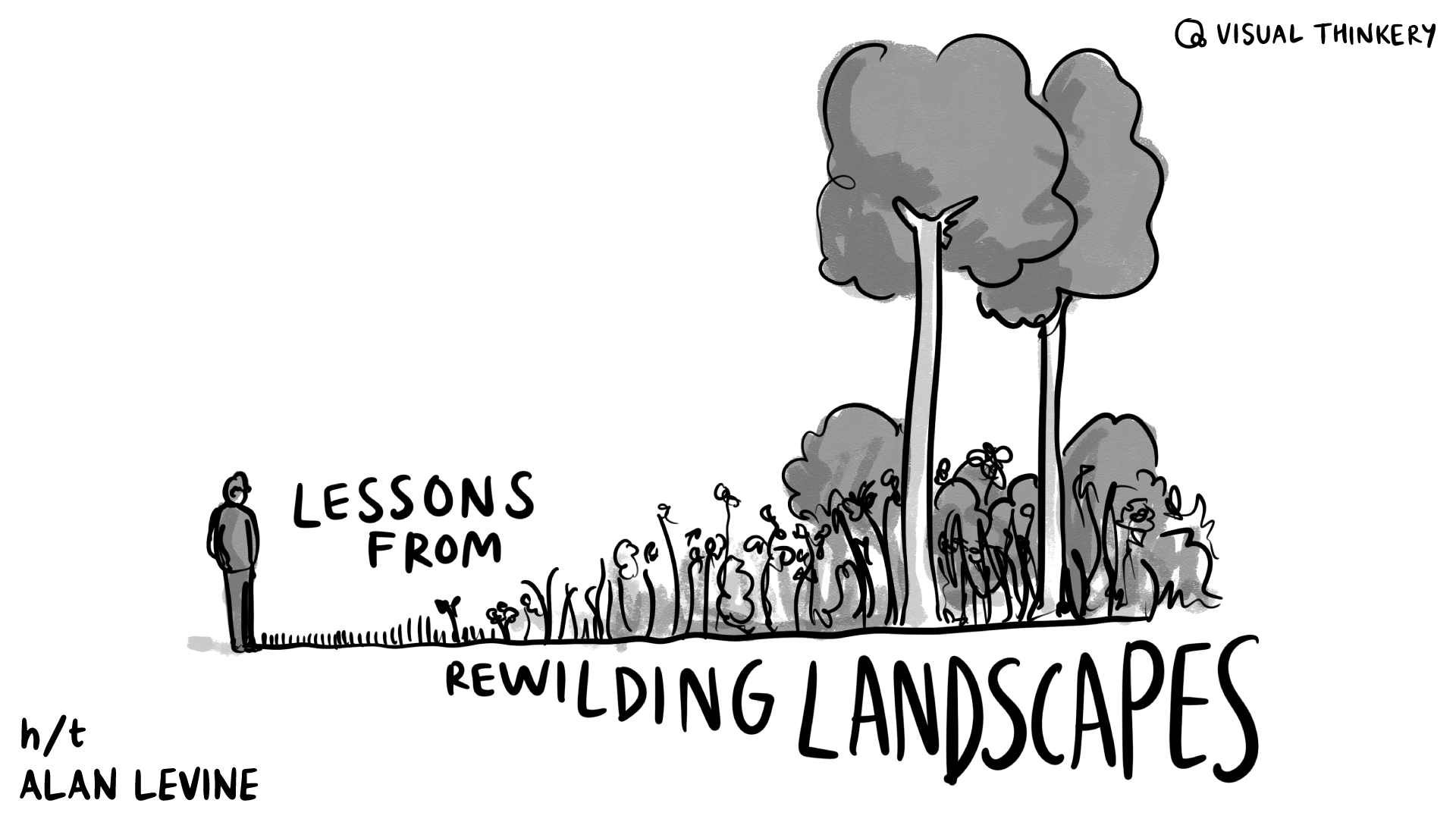Lessons from Rewilding Landscapes Lessons from Rewilding Landscapes