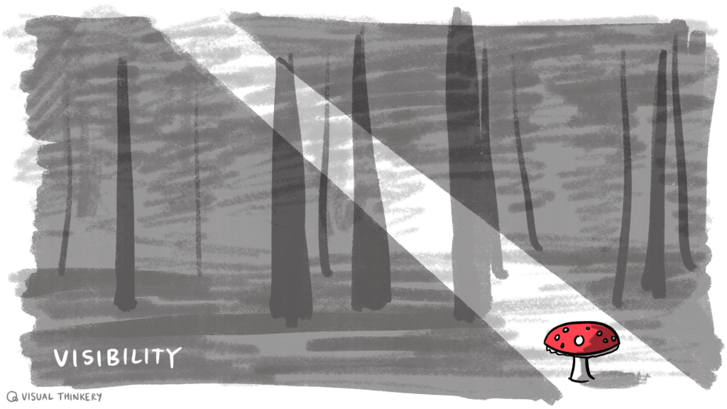 Visibility – in the forest