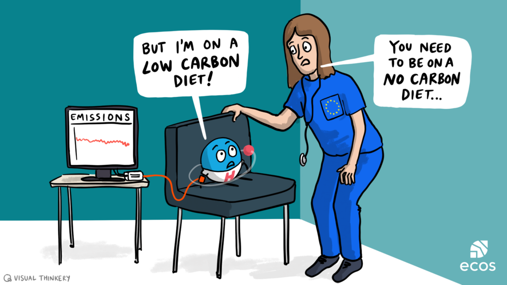 The Low-Carb(on) Diet