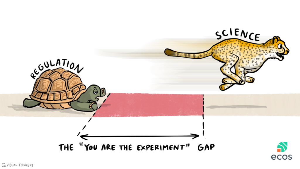 The Regulation Gap